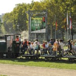 Bei schönem Herbstwetter fuhr die Feldbahn ununterbrochen durch den Museumspark.